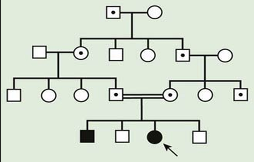 <p>autosomal recessive pedigree </p>