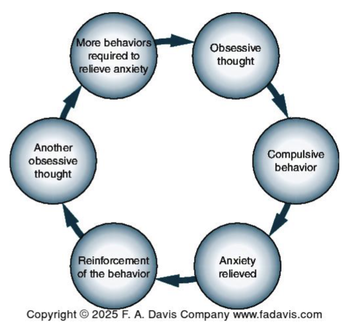 <p>Cycle of Obsessive Thoughts and Compulsive Behaviors in OCD</p>