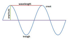 <p>the wave's height from the origin to a crest or trough</p>