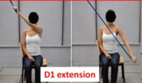 <ul><li><p>starts: arm flexed and adducted near your opposite shoulder </p></li><li><p>action: move the arm diagonally down and out to your side. The shoulder extends, abducts, and internally rotates. Forearm pronates, wrist and finger extend </p></li></ul><p></p>