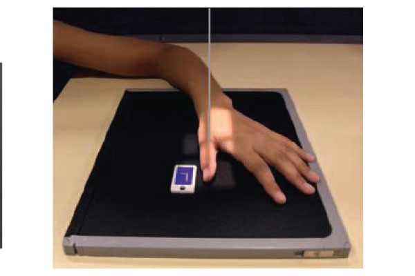 <p>PA Oblique View: First Digit (Thumb)</p>