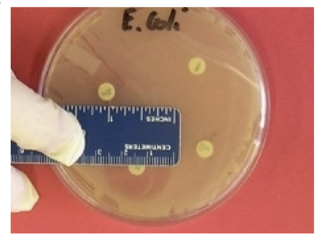 <p>what is the size (hard to tell)</p>