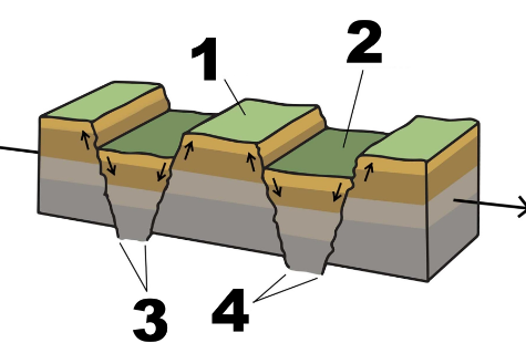 <p><span>Which of the </span><strong>geologic structures</strong><span> below is indicated by </span><strong>number 3</strong><span> in the figure above?</span></p>