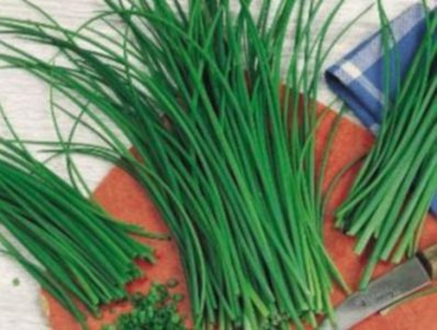 <p>la ciboulette</p>