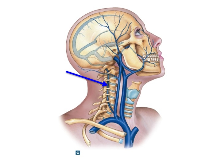 <p>Name the structure</p>