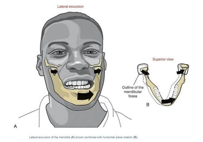 <p>shifting your <strong>jaw side-to-side</strong></p><ul><li><p>detail: specific to the <em>mandible (jawbone</em>)</p></li></ul><p></p>