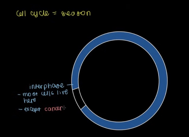 <p>What is going on in the blue portion?</p>