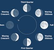 <p>Waning is when the right side of the moon is becoming visible, waxing is when the left side is becoming more visible. Gibbous is when most of the moon is shown, so a waning gibbous would be when there is a crescent of shadow on the right side. Crescents are self explanatory, the only light part of the moon is a crescent. The quarters are when it is half and half. Third quarter is when the left side is shown, first quarter is when the right side is shown.</p>