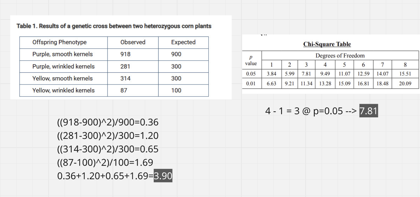 <p>D) The calculated chi-square value is 3.91, and the critical value is 7.82. The null hypothesis cannot be rejected.</p>