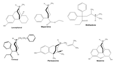 <p>Which opioid is a 4-phenylpiperidine?</p>