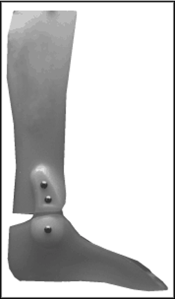 <p>allows for pt-driven mobility, but limits ROM</p>