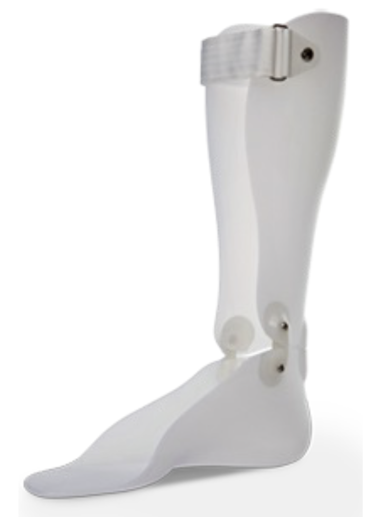 <p><span>Which patient population would </span><strong>LEAST </strong><span>likely use the orthosis in this photo?</span></p><p><span>A) Patients with L4 weakness</span></p><p><span>B) Patients with mild recurvatum</span></p><p><span>C) Patients with midfoot instabilities</span></p><p><span>D) Patients with severe ankle instability</span></p>