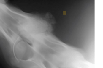 term image