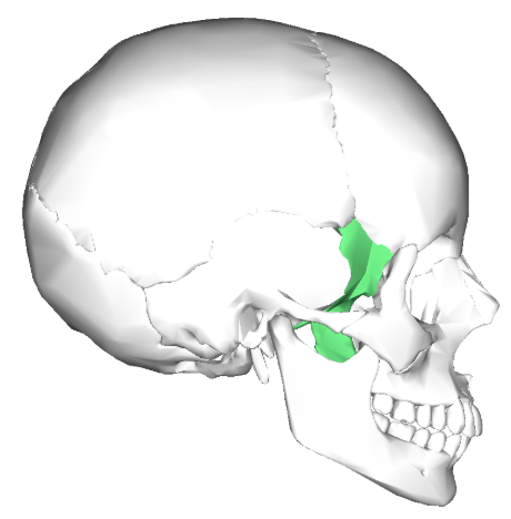 term image