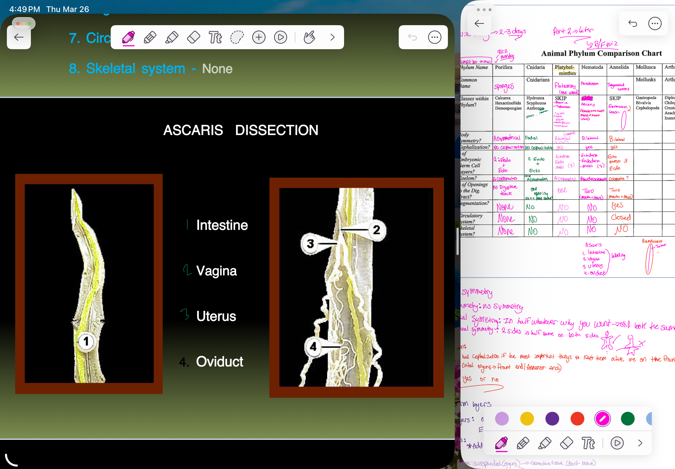 knowt flashcard image