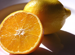 <p>Citrus fruits and strawberries</p>