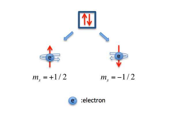 <ul><li><p>describes 2 possible states</p></li></ul><p></p>