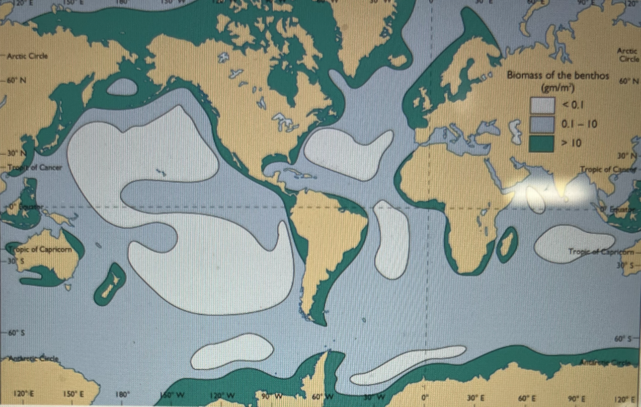 <p>Referring to this map, where is the greatest amount of benthic animal biomass found, and why?</p>