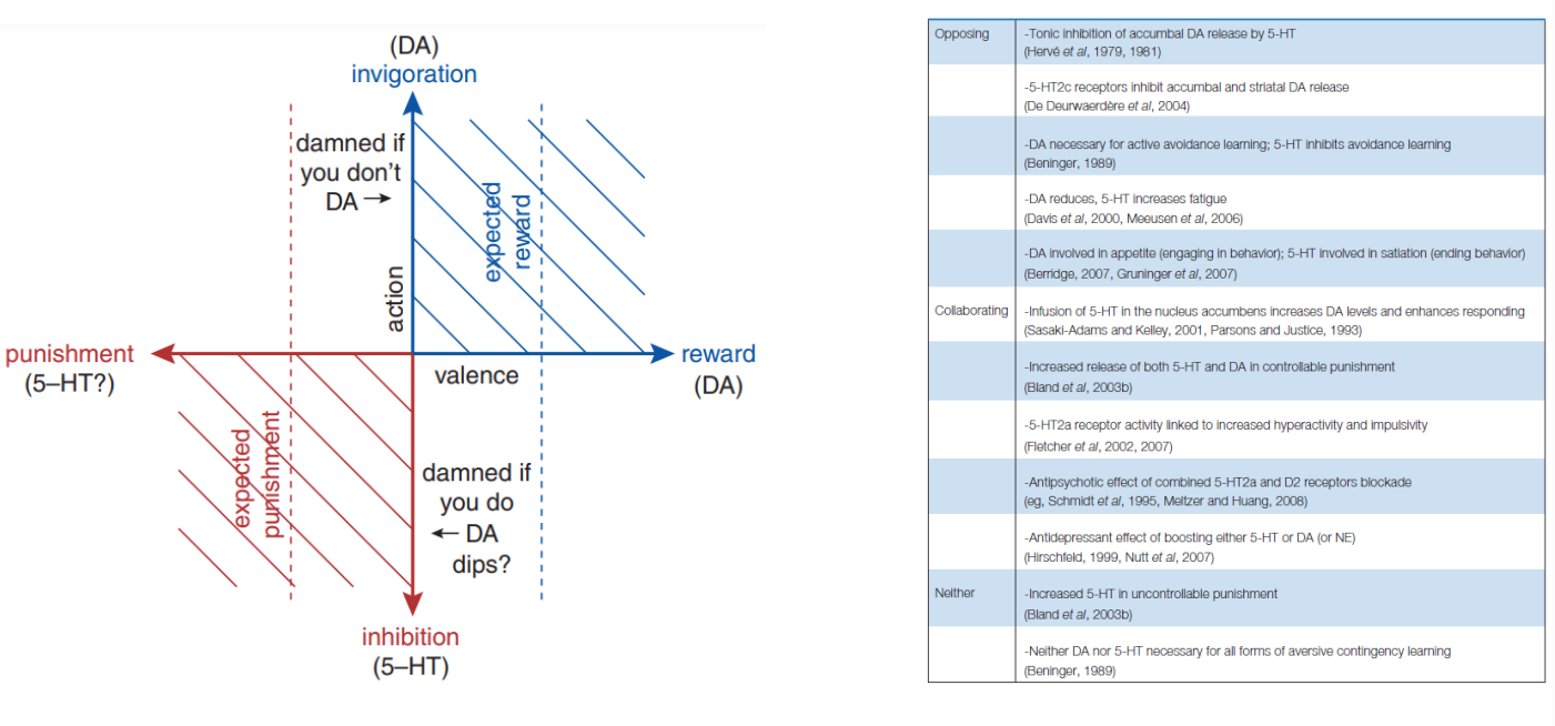 <p><strong>Opponency theory: 5HT vs. DA?</strong></p>