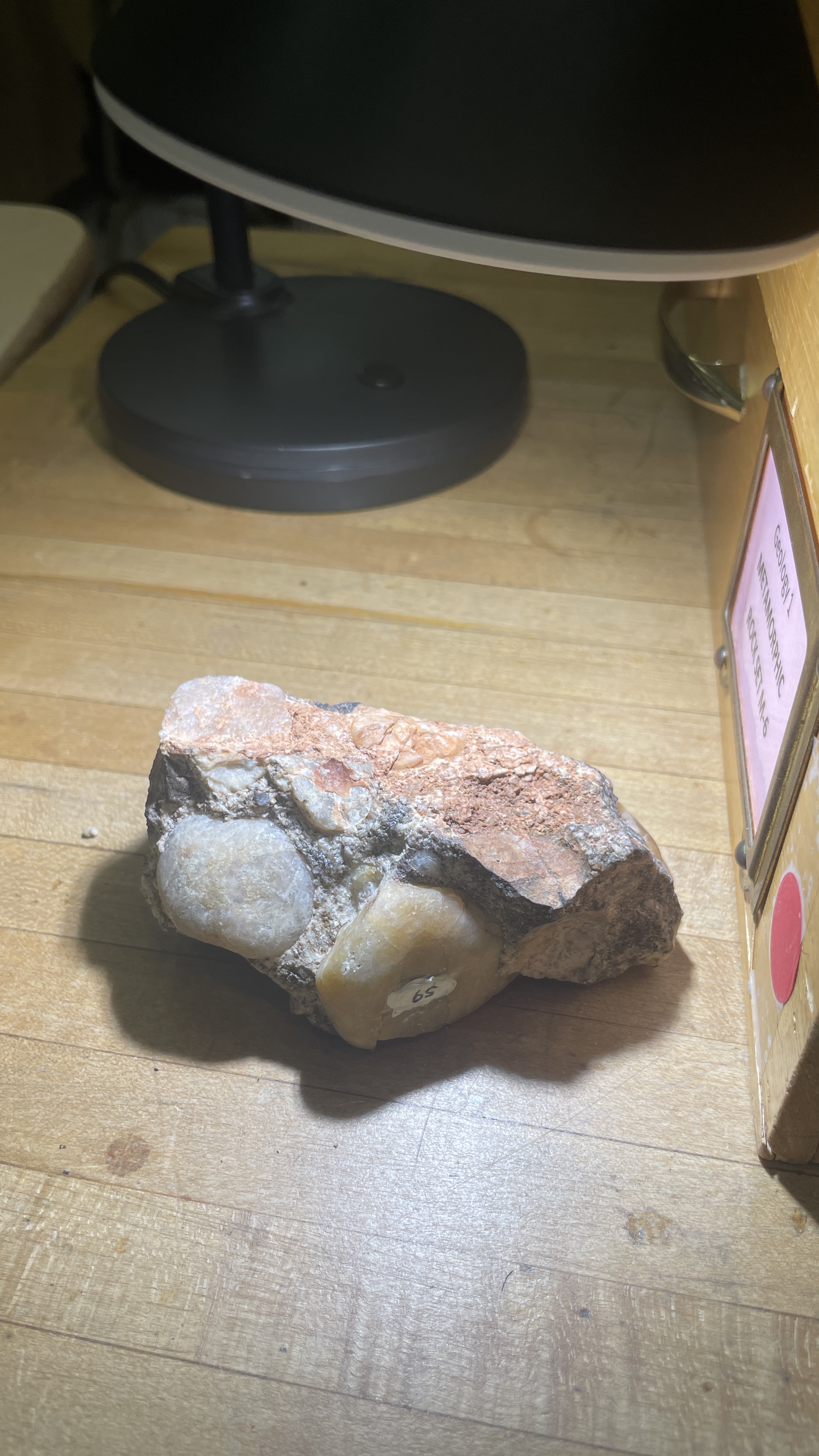 <p>Conglomerate </p>