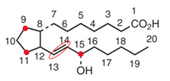 <p>Prostaglandins have 20 carbons and are derived from arachidonic acid. What group is 15-C required to have?</p>