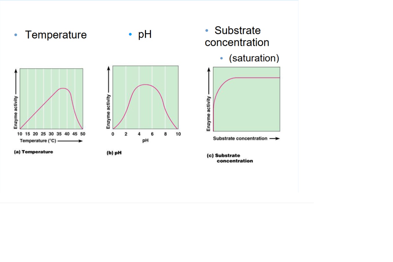 <ul><li><p>temperature (35-40 degrees C) </p></li><li><p>pH (4-6)</p></li><li><p>substrate concentration (enzyme activity plateaus as substrate concentration increases because an enzyme cannot work any faster than it can function in the molecular environment)</p></li></ul><p></p>