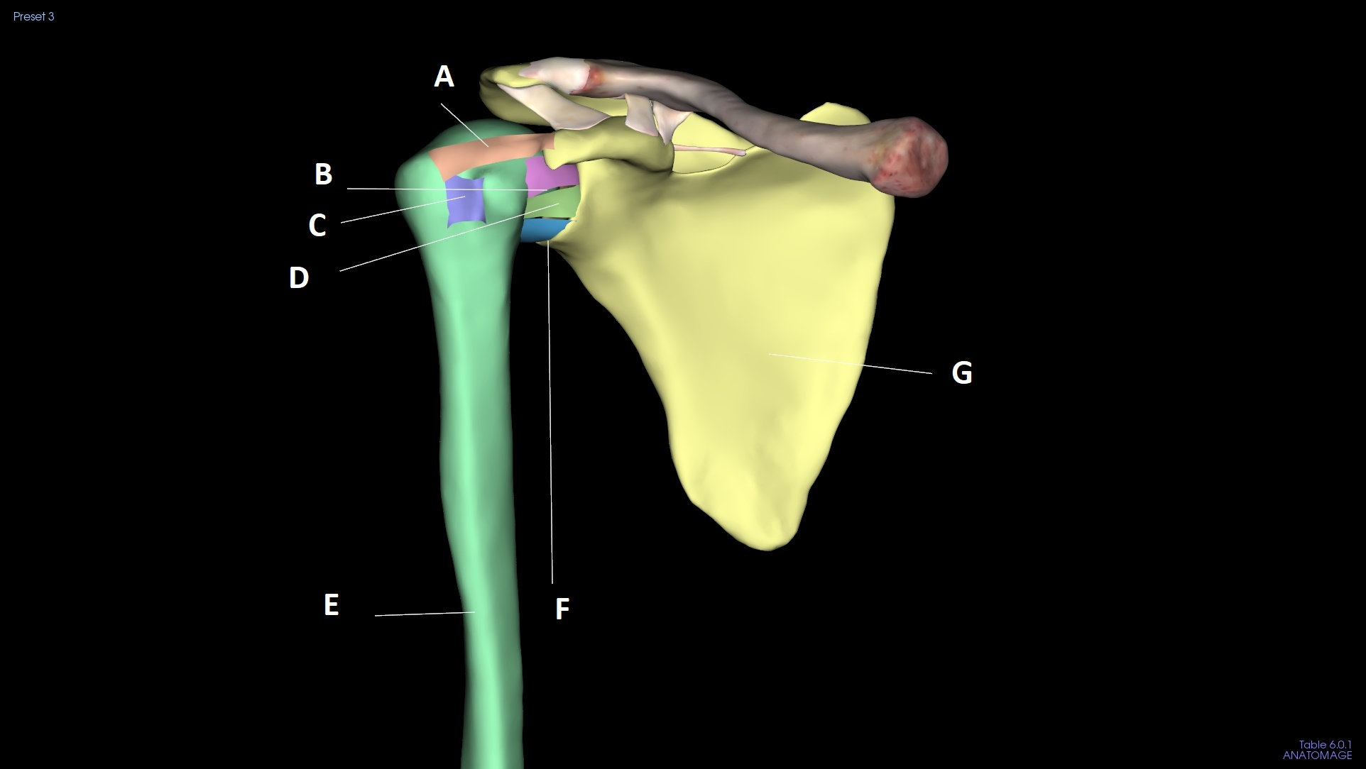 <p>B</p>