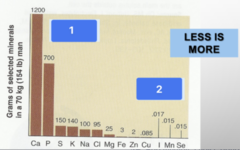 <p>minerals that are required in less amounts, less than 20 mg/day for body function:</p>