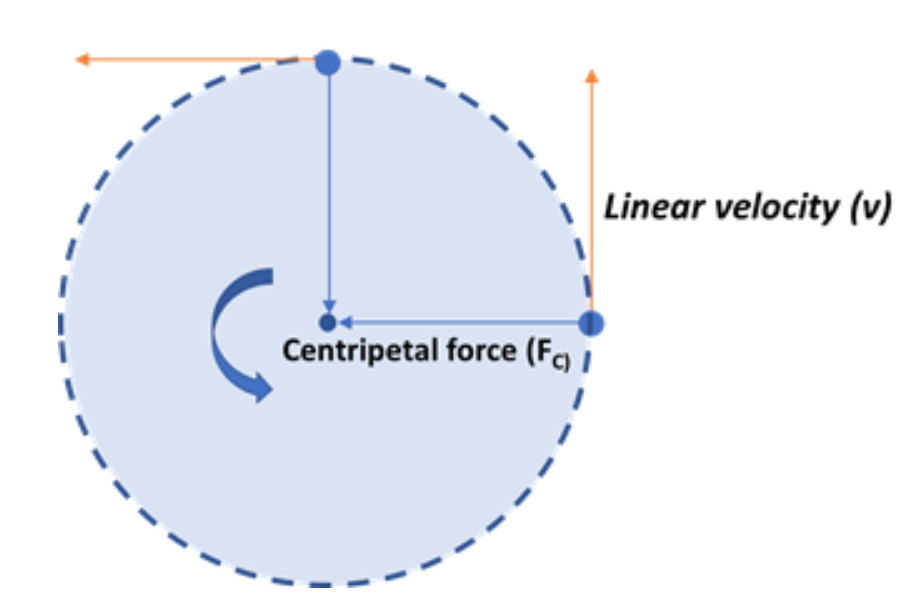 <p><span>a force that keeps an object moving in a circular motion. It is a real force and directed towards the center of the circular path</span></p>