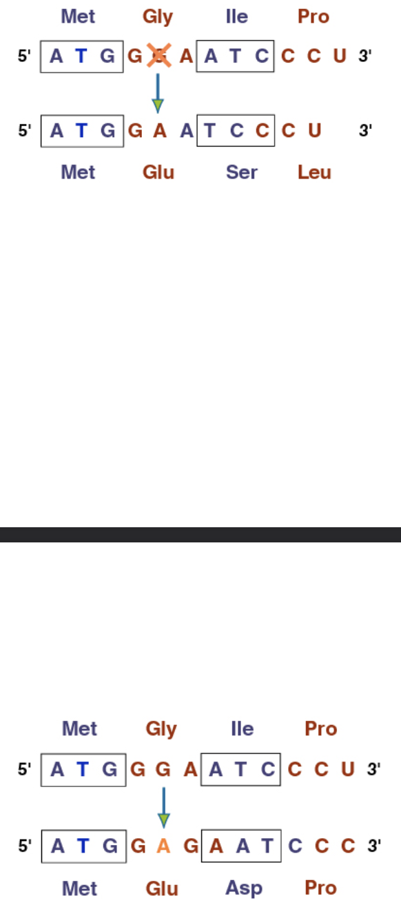 <p>(Point mutation) They change the reading frame from that point onward → result from either a deletion or insertion</p>