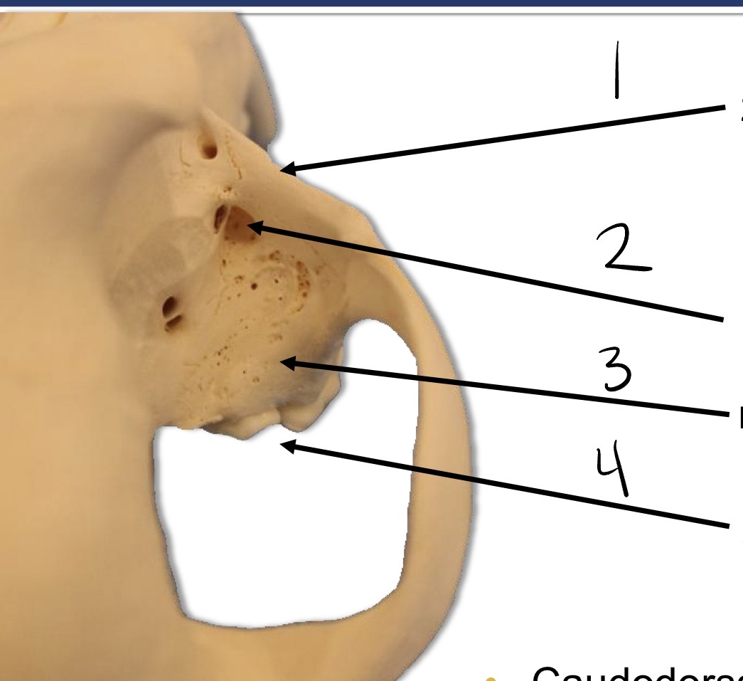<p>what is 3?</p>