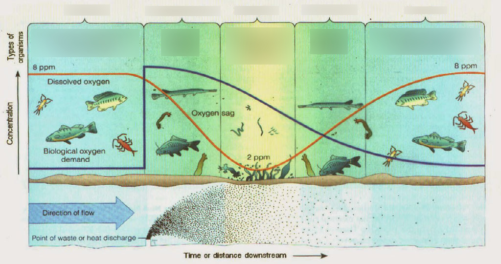 <p>Oxygen sag curve</p>