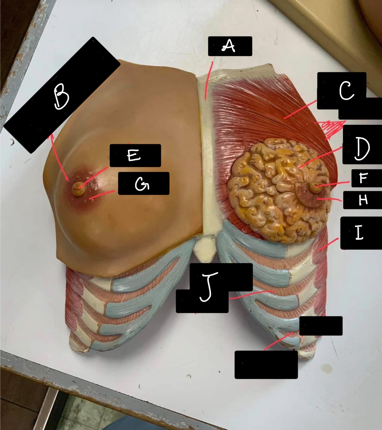 <p>Identify B</p>