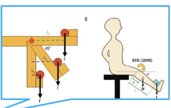 <p>cuff weight always going straight down being @ mercy of gravity </p><ul><li><p>NO pulley changing force vector </p></li></ul><p></p>