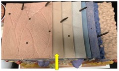 knowt flashcard image