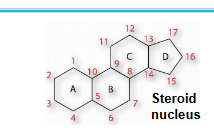 <p>contain the steroid nucleus and a hydroxyl group</p><p>steroid nucleus: 17-C four-fused ring structure, three of the rings are six-membered, and one is 5-membered</p><p>sterols can be present in the membranes of most eukaryotes (like cholesterol)</p>