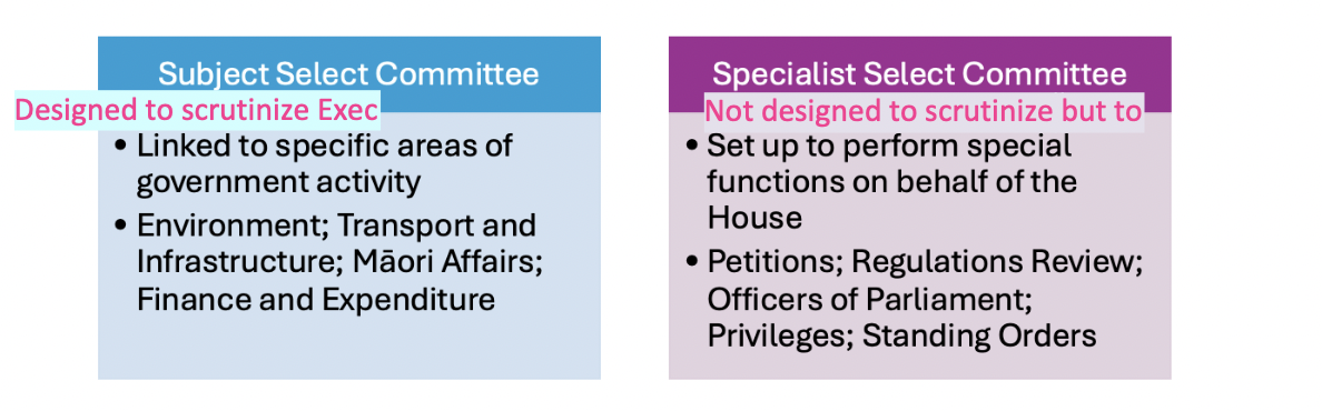<p>Subject select Committee - current government ministers cannot sit on these committees because they are apart of the executive and can’t really scrutinise themselves'.</p>