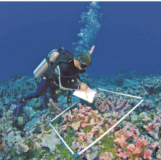 <p>Area-Based Counts </p>