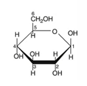 <p>Cyclized structure</p>