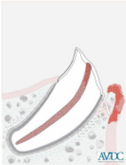 <p>What is this?</p>