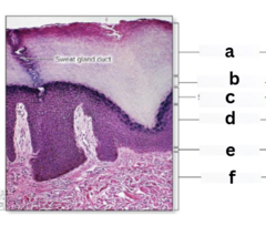 <p>what is b</p>