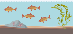 <p>Ecosystem</p>