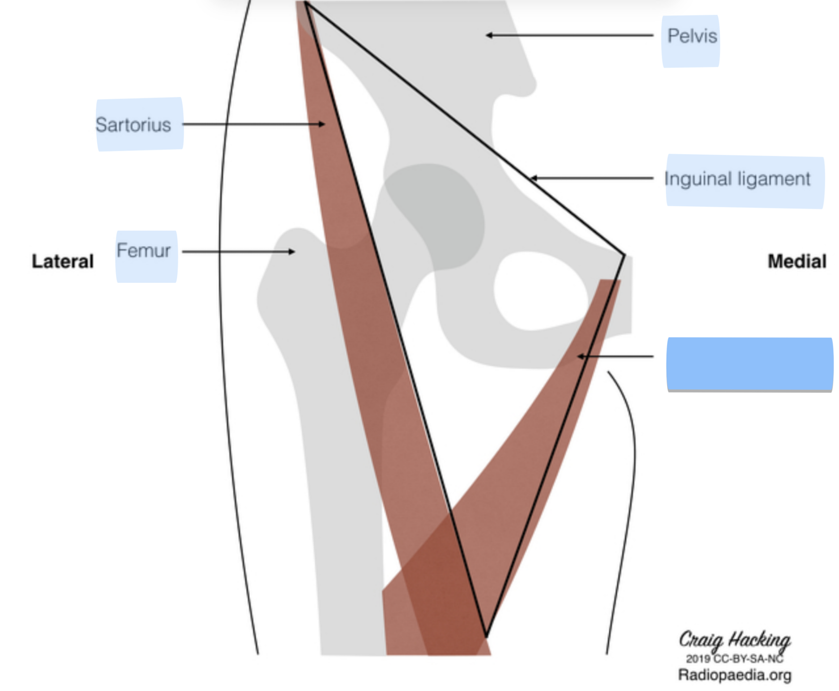 <p>Label the missing structure on this diagram</p>