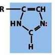 <p>-a five-member ring consisting of carbons and nitrogens with two double bonds</p><p>-found in the amino acid histidine</p>