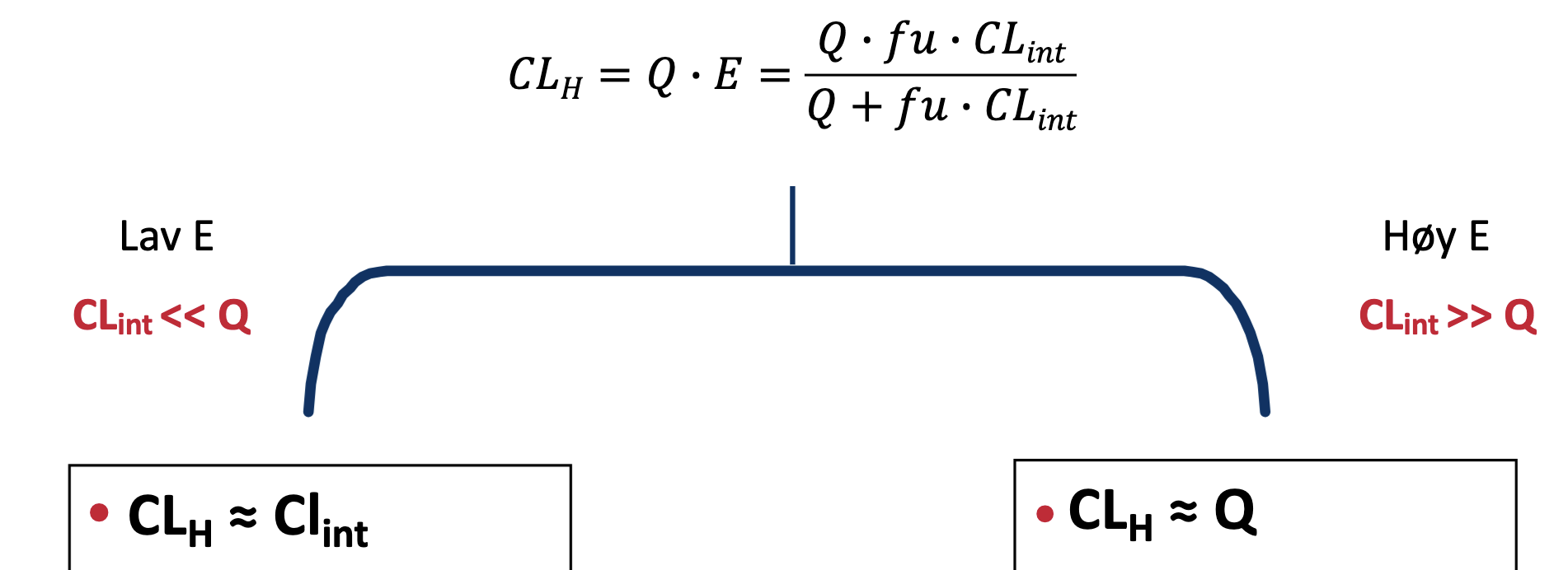 <p>Forklar bildet</p>