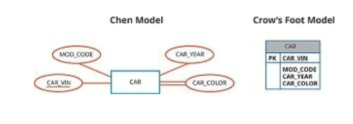 <p>Multivalued Attribute in an Entity </p>