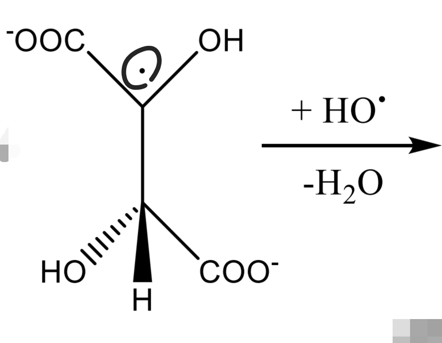 <p>Tartaric acid Identification: Fenton reaction Step 3</p>