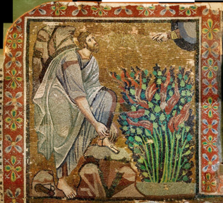 term image