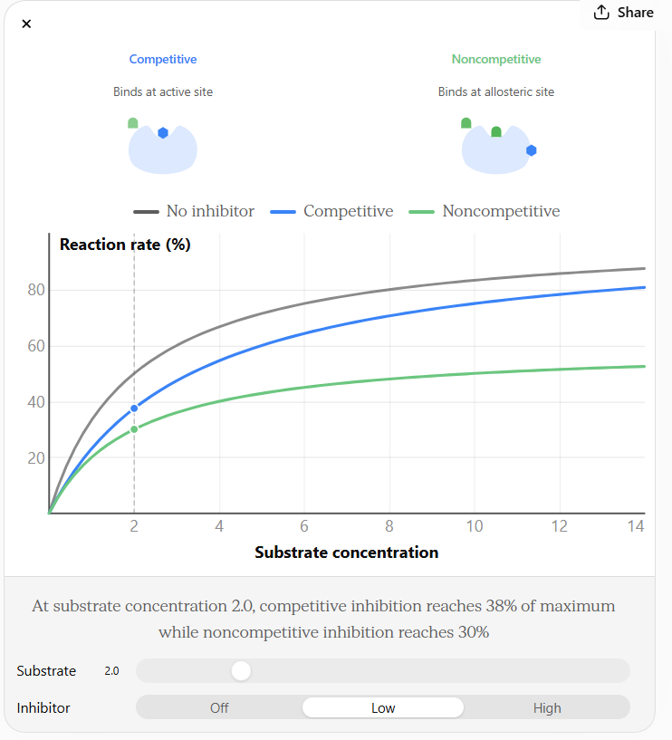 <ul><li><p>enzyme regulation where inibitor competes with substrate for enzyme activate site</p></li><li><p>takes more substrate to reach Vmax</p></li><li><p>can be overcome by increasing substrate concentration</p></li></ul><p></p>