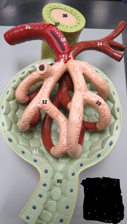 <p>What is this?</p>